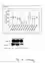 Fig. 07 - Agent for inhibiting development or progress of proliferative diseases and especially cancer diseases and pharmaceutical composition containing said agent