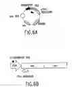 Fig. 08 - Tissue-specific and pathogen-specific ribozymes