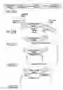 Fig. 24 - Tissue-specific and pathogen-specific ribozymes