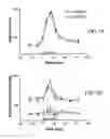 Fig. 02 - Method for reducing overproduction of neuropeptide Y in an individual