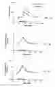 Fig. 03 - Method for reducing overproduction of neuropeptide Y in an individual