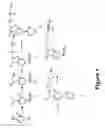 Fig. 02 - Aryl boronic acids for treating obesity