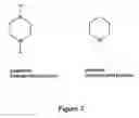 Fig. 08 - Antimicrobial compounds and methods for their use