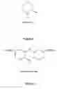Fig. 09 - Antimicrobial compounds and methods for their use