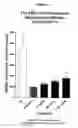 Fig. 06 - Methods of treating lower urinary tract disorders using losigamone
