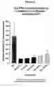 Fig. 07 - Methods of treating lower urinary tract disorders using losigamone