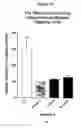 Fig. 11 - Methods of treating lower urinary tract disorders using losigamone
