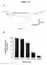 Fig. 14 - Methods of treating lower urinary tract disorders using losigamone