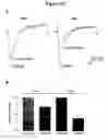 Fig. 15 - Methods of treating lower urinary tract disorders using losigamone