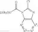 Fig. 06 - Substituted heterocyclic compounds and methods of use