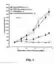 Fig. 02 - Methods of treating diseases and disorders by targeting multiple kinases