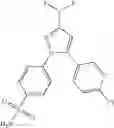 Fig. 101 - Compositions of a cyclooxygenase-2 selective inhibitor and a peroxisome proliferator activated receptor agonist for the treatment of ischemic mediated central nervous system disorders