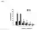 Fig. 02 - Angiogenesis inhibitors