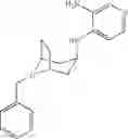 Fig. 110 - Tropane derivatives useful in therapy