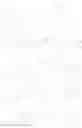 Fig. 16 - Tropane derivatives useful in therapy