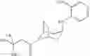 Fig. 93 - Tropane derivatives useful in therapy