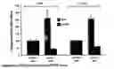 Fig. 02 - Compositions and methods for altering glucose production