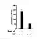 Fig. 03 - Compositions and methods for altering glucose production