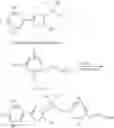 Fig. 05 - Peroxisome proliferator activated receptor modulators