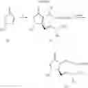 Fig. 06 - Synthetic method and novel chemical compounds