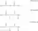 Fig. 04 - Method for preparing hydrazodicarbonamide using biuret as starting material