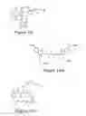 Fig. 17 - Peptides whose uptake by cells is controllable
