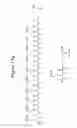 Fig. 26 - Peptides whose uptake by cells is controllable