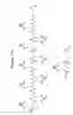 Fig. 37 - Peptides whose uptake by cells is controllable