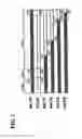 Fig. 02 - Mutated constitutively active nuclear orphan receptor