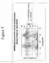 Fig. 04 - Removal of high molecular weight aggregates using hydroxyapatite chromatography