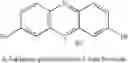 Fig. 13 - Processes for preparing novel methylene blue derivative