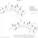Fig. 16 - Novel method for wholly synthesizing of ciguatoxin ctx3c derivative