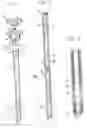 Fig. 02 - Syringe for artificial insemination with lateral window