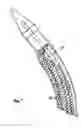Fig. 07 - Urethral sling introducer and method of use