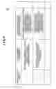 Fig. 06 - Medical image interpretation system and interpretation report generating method