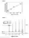 Fig. 07 - Polarizing agents for dynamic nuclear polarization