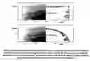 Fig. 06 - Flow-rate conservative doppler estimate
