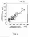 Fig. 07 - Method and device for calculating visceral fat