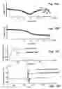 Fig. 07 - Method and system for examining tissue according to the dielectric properties thereof