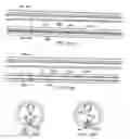 Fig. 40 - Occludable intravascular catheter for drug delivery and method of using the same