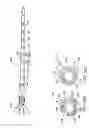 Fig. 50 - Occludable intravascular catheter for drug delivery and method of using the same