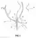 Fig. 02 - G-tube retainer