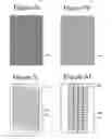 Fig. 03 - Absorbent article with three-dimensional extrudate forming sap containment wells