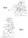 Fig. 12 - Method and apparatus for delivering an agent to the abdomen