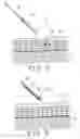 Fig. 04 - Method for inserting solid object into skin