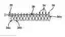 Fig. 01 - Devices and methods for heart valve repair