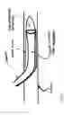 Fig. 19 - Dynamic cannula