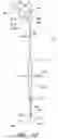 Fig. 35 - Vascular wound closure device and method