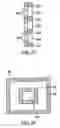 Fig. 16 - Method and apparatus for skin absorption enhancement and transdermal drug delivery