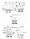 Fig. 03 - Using a genetic algorithm to fit a cochlear implant system to a patient